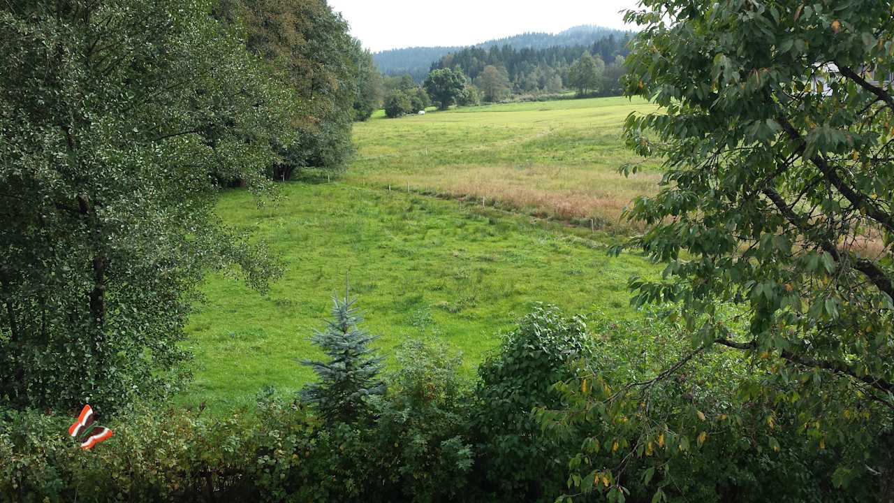 Blick vom Balkon Ferienwohnung Fritz Gabi Bodenmais