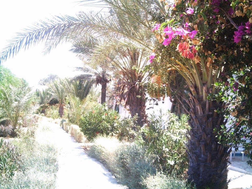 Hotelanlage Hotel Sangho Club Zarzis