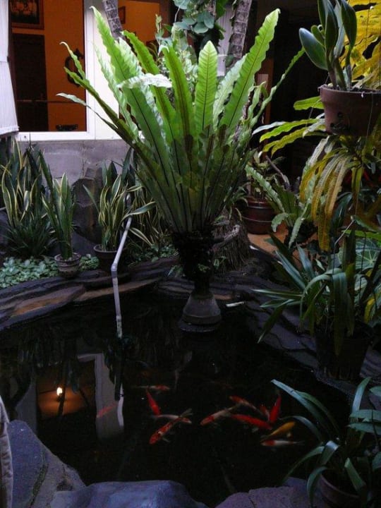 Teich Guest House Duta