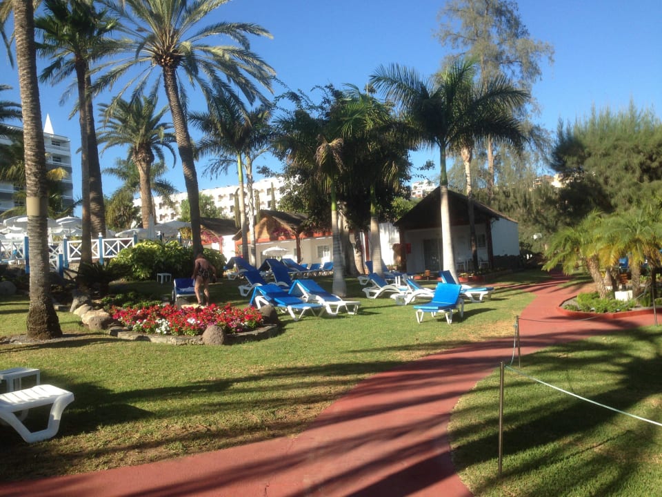 Palmengarten Bull Costa Canaria & Spa - Adults only