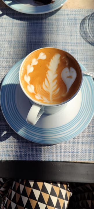 Gastro JAZ Elite Amara