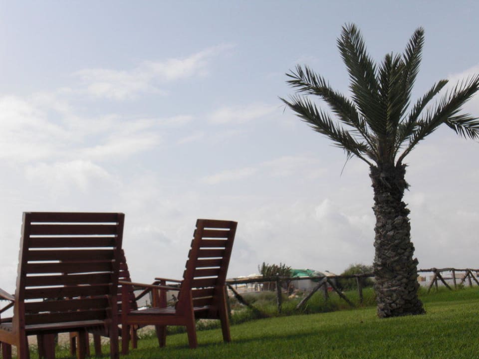 Wiese The Club Hammamet