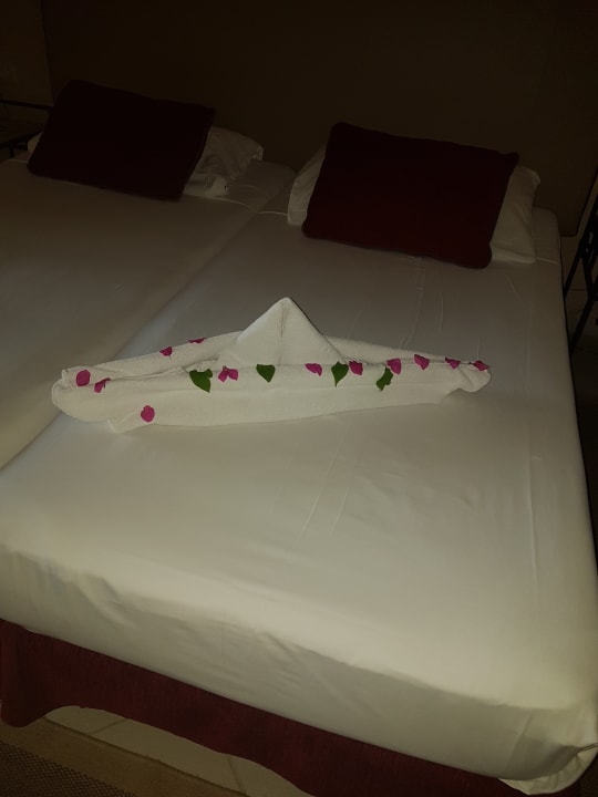 Zimmer Jaz Makadi Oasis Resort