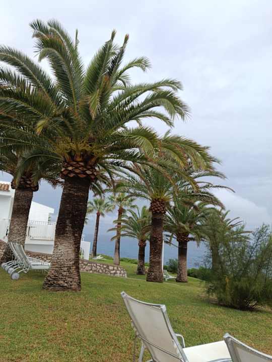 Gartenanlage blau punta reina