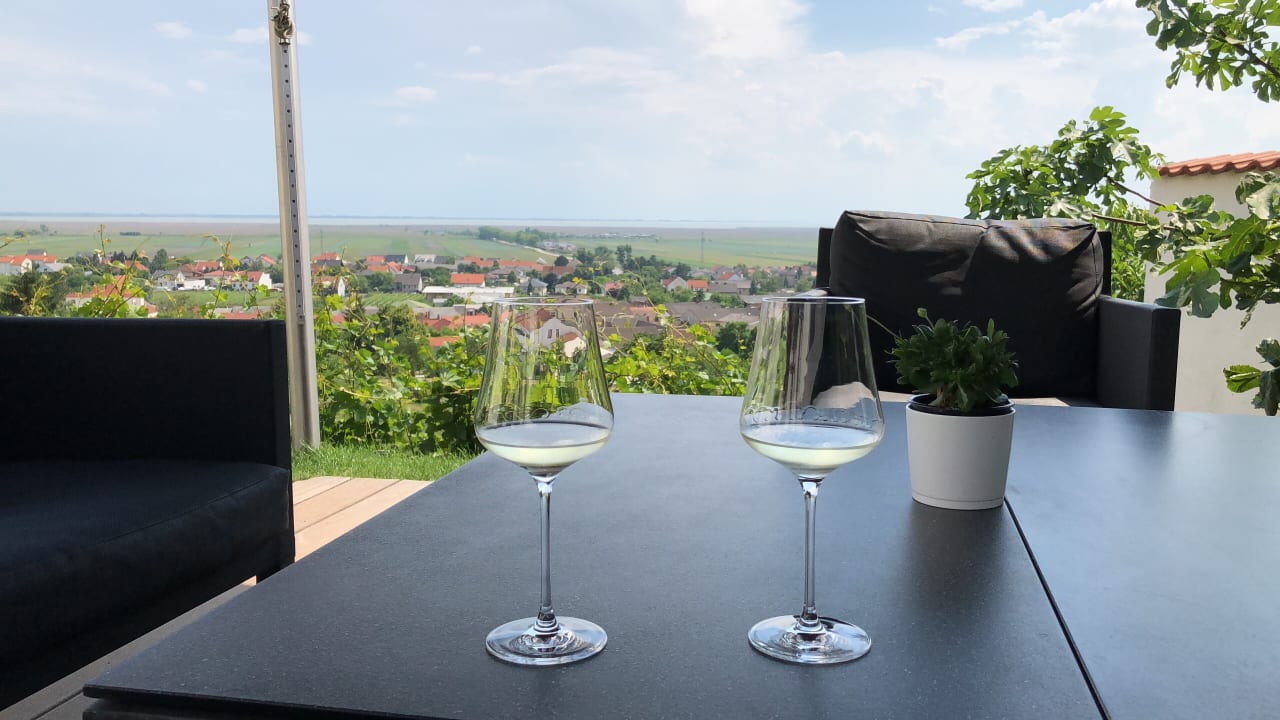 Ausblick Weingut & Gästehaus zum Seeblick - Familie Sattler