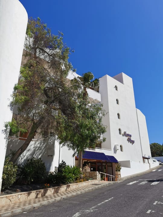 Lobby Marina Playa Suite Hotel