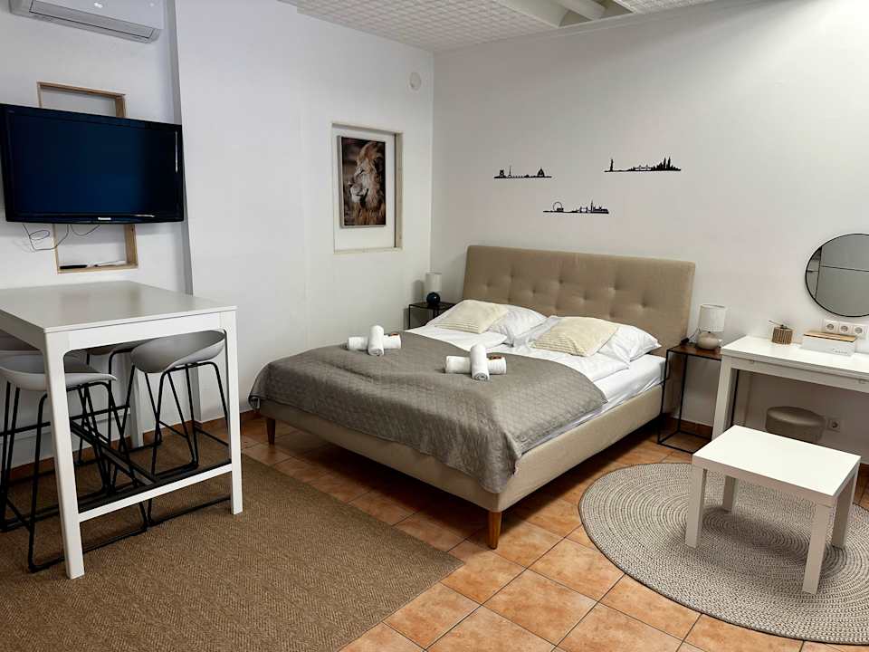 Zimmer Spacious Apartment in Vienna Center