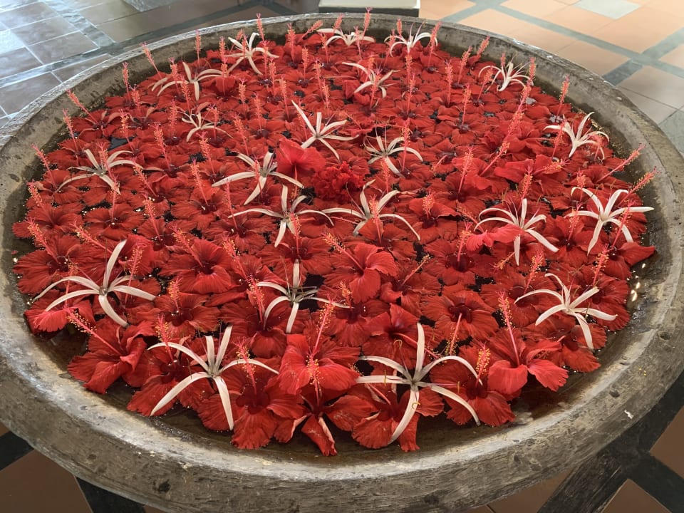 Sonstiges Ayurveda Paragon Hotel