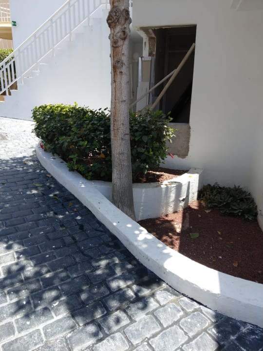 Gartenanlage Los Olivos Beach Resort