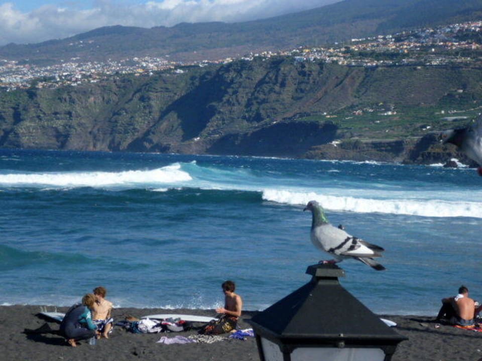 Blick über den Strand zum Meer Melia Costa Atlantis Tenerife