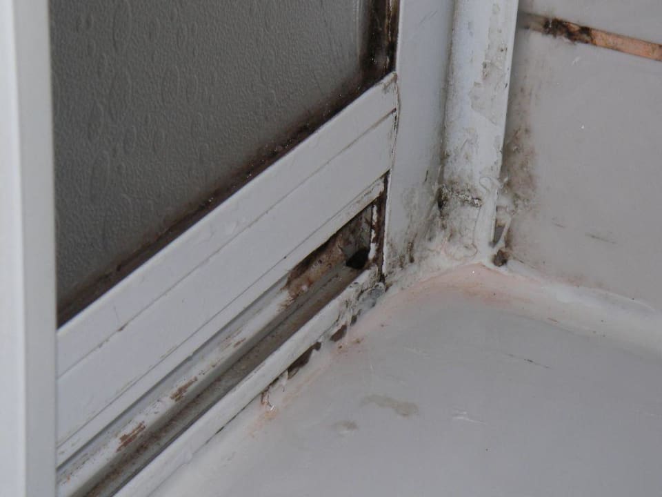 Schimmelbefall Hotel Süral Resort