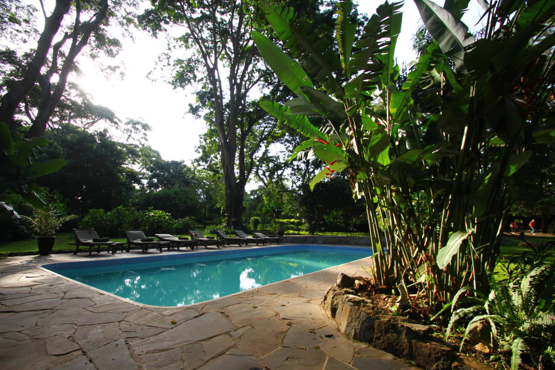 Gepflegter Pool Rivertrees Country Inn