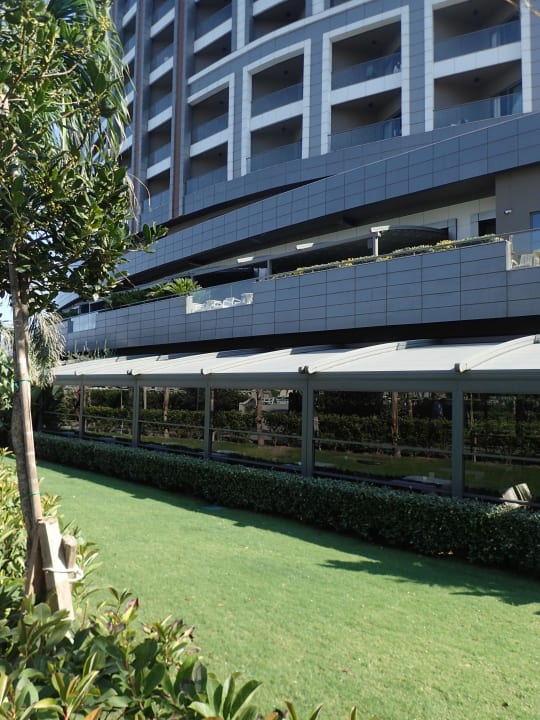 Sonstiges Royal Seginus