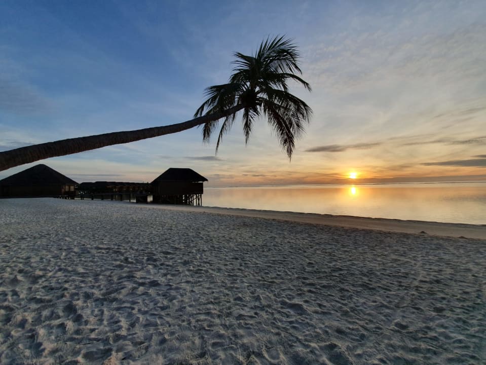 Strand Meeru Maldives Resort Island