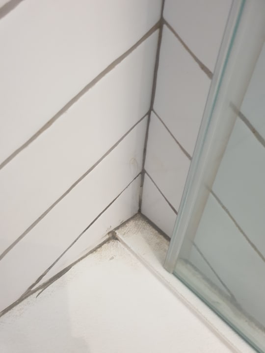 Zimmer Guayarmina Princess