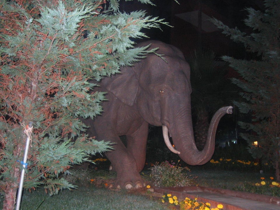 Elefant in Anlage Siam Elegance Hotels & Spa
