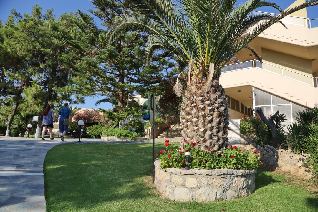 Gartenanlage Hotel Kalithea Mare Palace