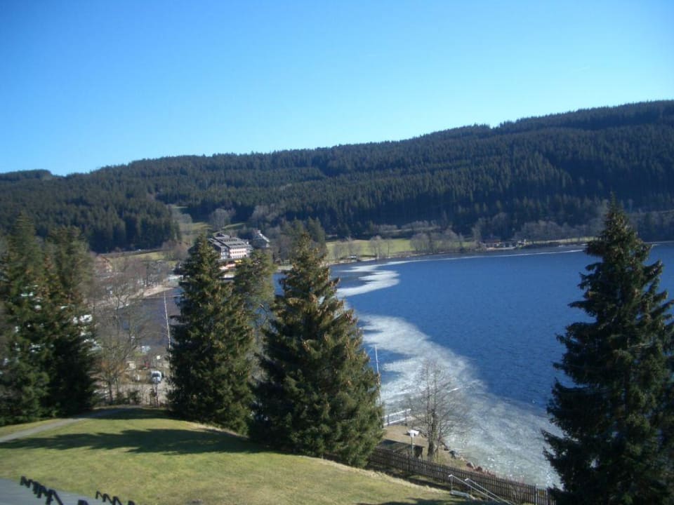 Blick vom Hotelzimmer über den Titisee Seehotel Wiesler