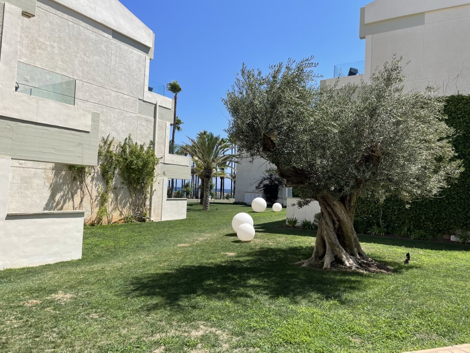 Gartenanlage Hipotels Mediterraneo Club