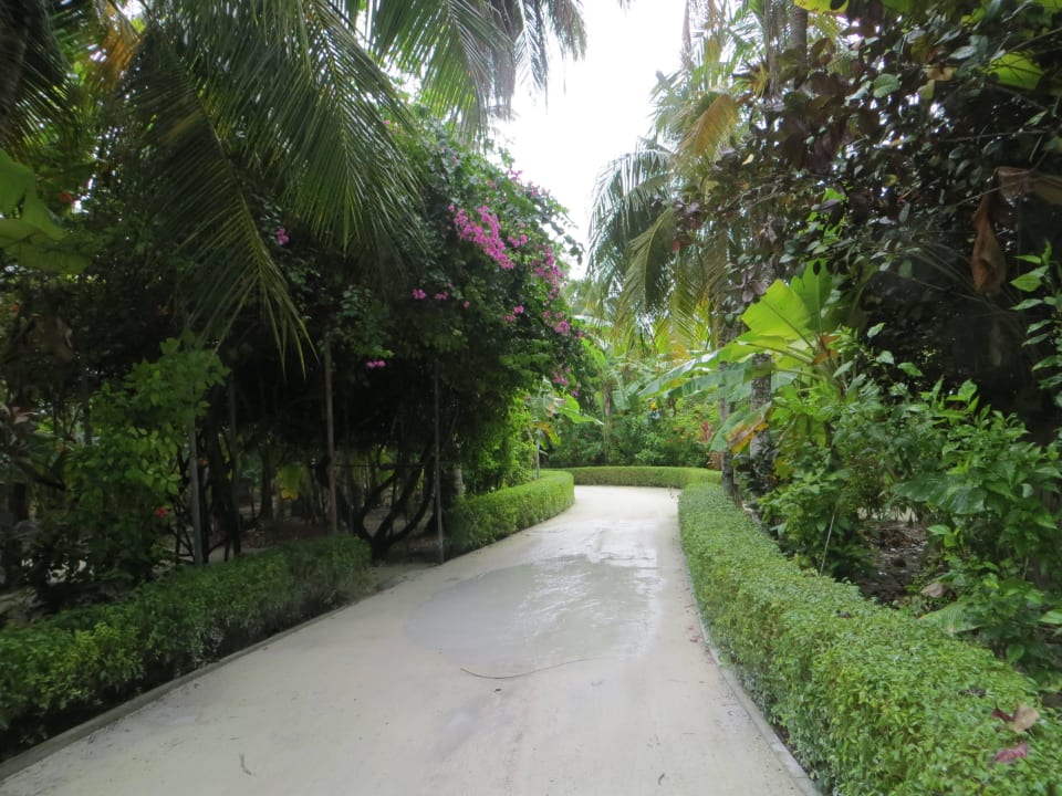 Viele Wege auf der Insel Adaaran Select Hudhuran Fushi - Premium All Inclusive
