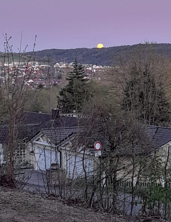 Ausblick Vitalhotel König am Park
