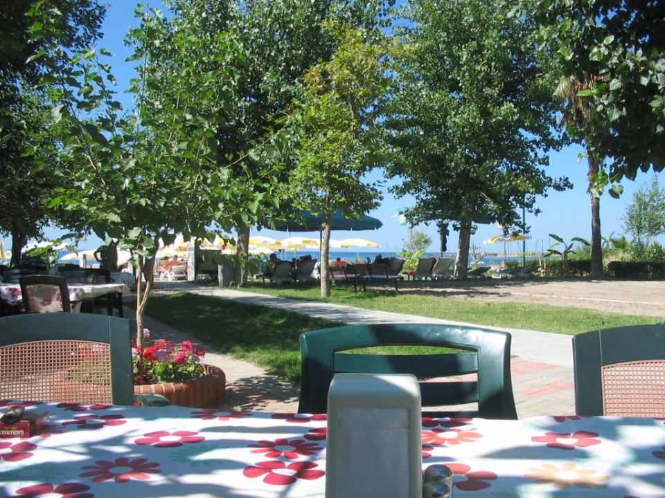 Blick Richtung Strand Hotel Gardenia Beach