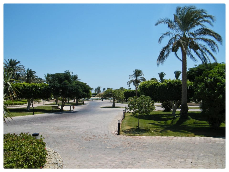 Sonstiges Pharaoh Azur Resort