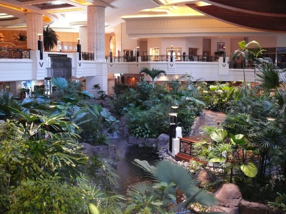 Eine Oase Grand Hyatt Dubai