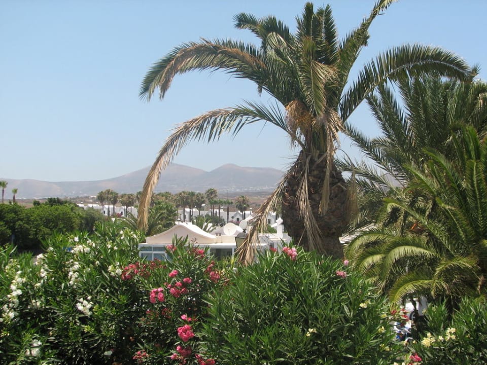 Blick vom Übergang zur Landseite Hotel Riu Paraiso Lanzarote