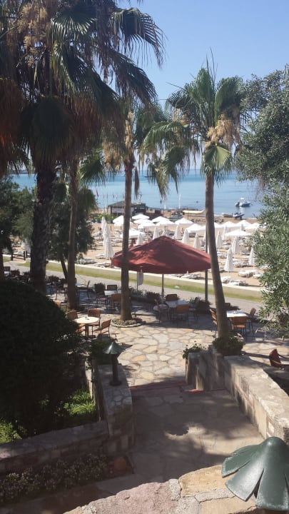 Blick von oben.. Arum Barut Collection