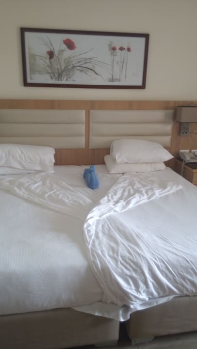 Zimmer Pickalbatros Aqua Vista Resort - Hurghada