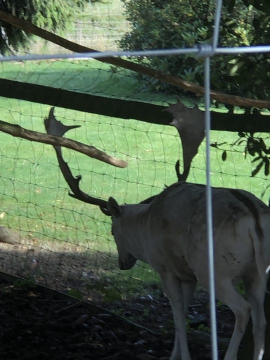 Ausblick Hotel Harzhaus