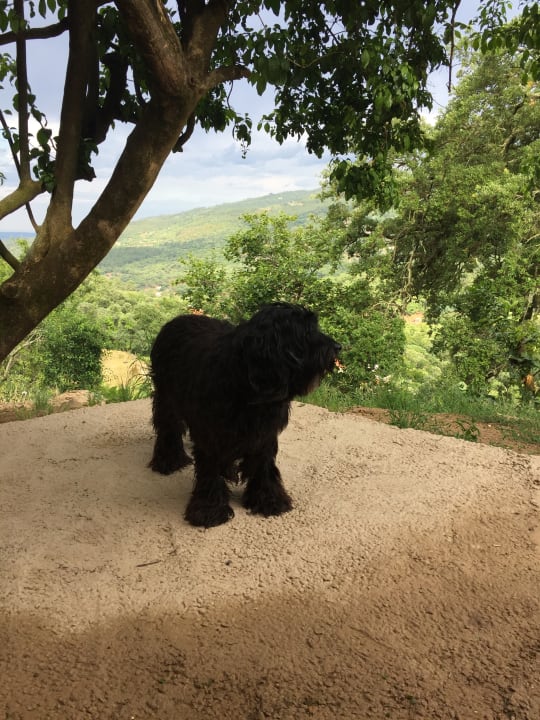 Ausblick Far Out Oasis