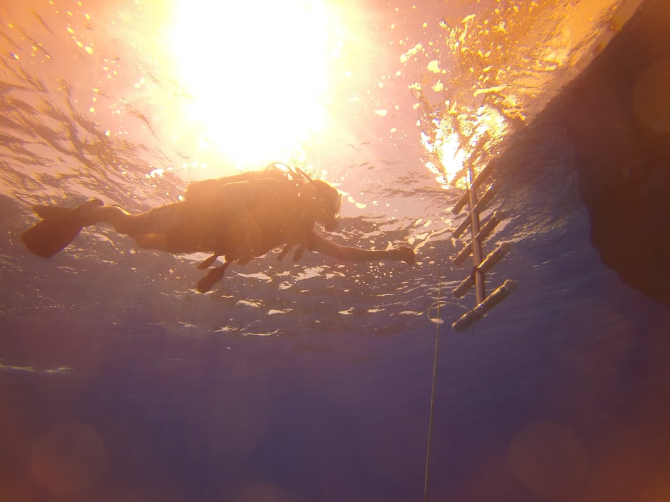 Sport & Freizeit Menaville Safaga