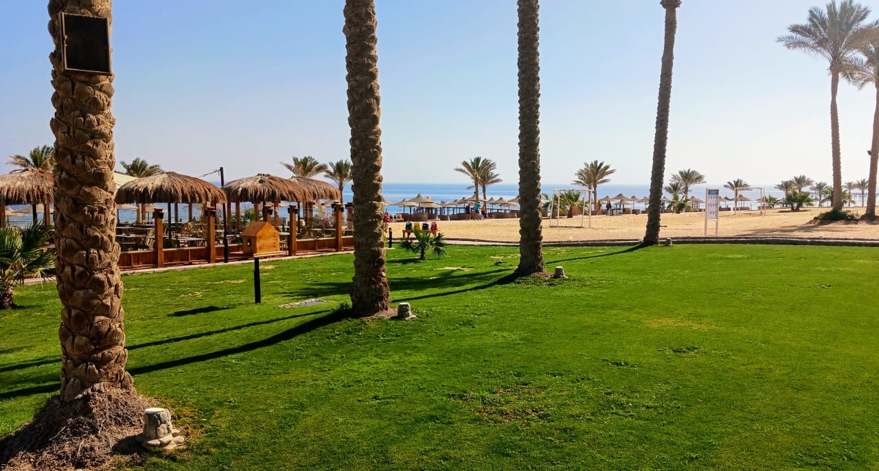 Gartenanlage Three Corners Sea Beach Resort