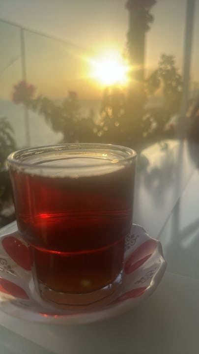 Gastro Bodrum Holiday Resort & Spa