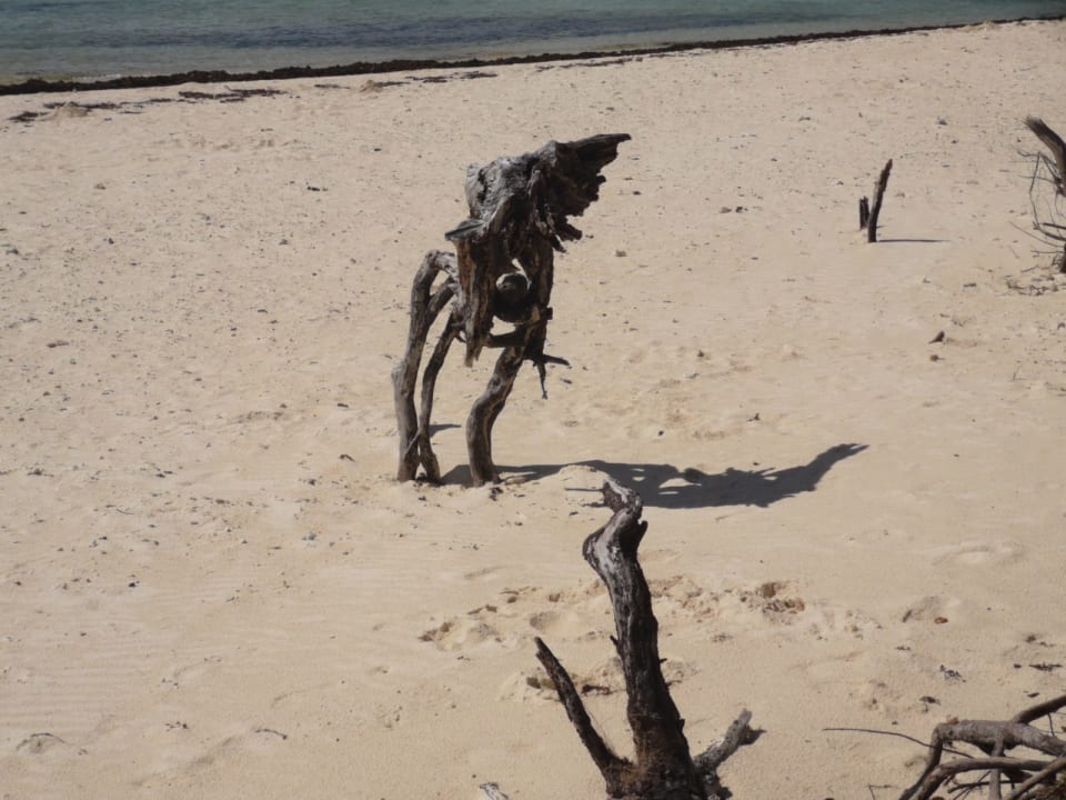 Strand Solana Beach Mauritius