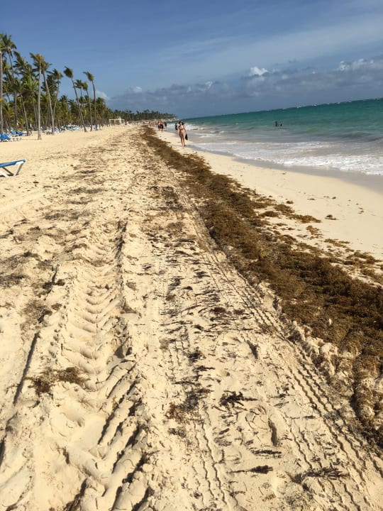 Strand Hotel Riu Palace Macao - Adults only