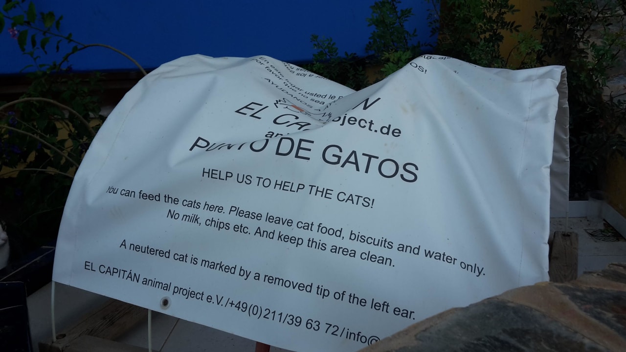 Katzen Punkt Club Hotel Drago Park