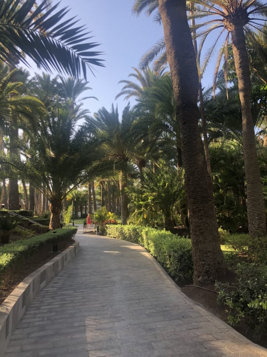 Gartenanlage Hotel Riu Palace Oasis