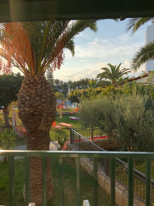 Ausblick TUI SUNEO Chrissi Amoudia