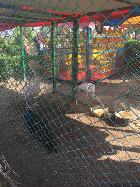 Gartenanlage Riviera Aqua Park Resort