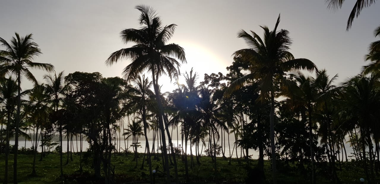 Ausblick Wyndham Alltra Samana