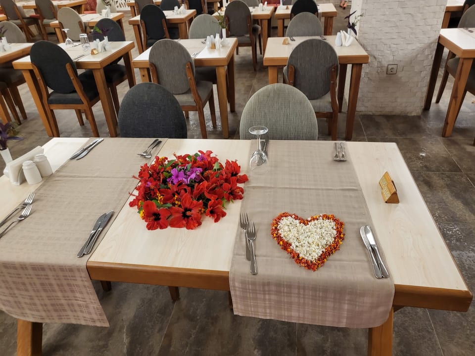 Gastro Hotel Defne Star