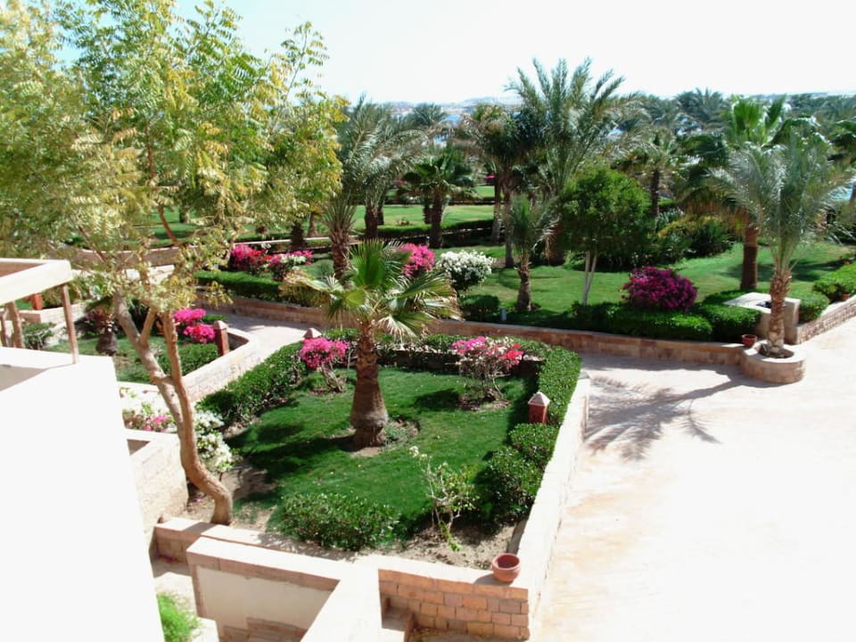 Palmen und blühende Sträucher Fort Arabesque Resort, Spa & Villas