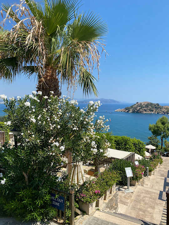 Ausblick TUI BLUE Seno - Adults Only