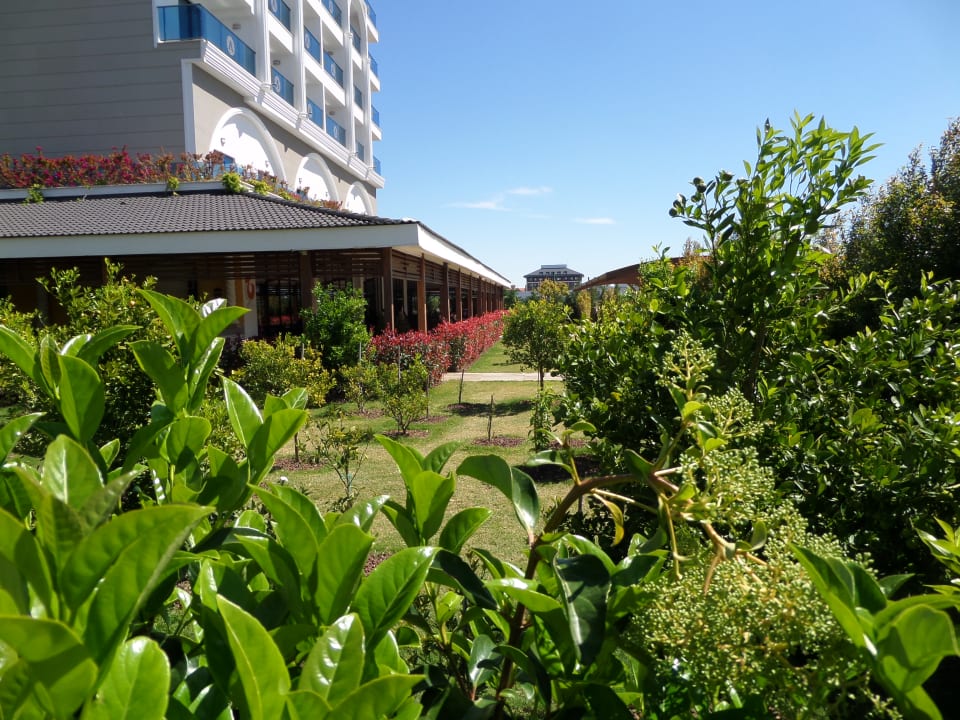 Der Frühling ist da!! Adalya Elite Lara