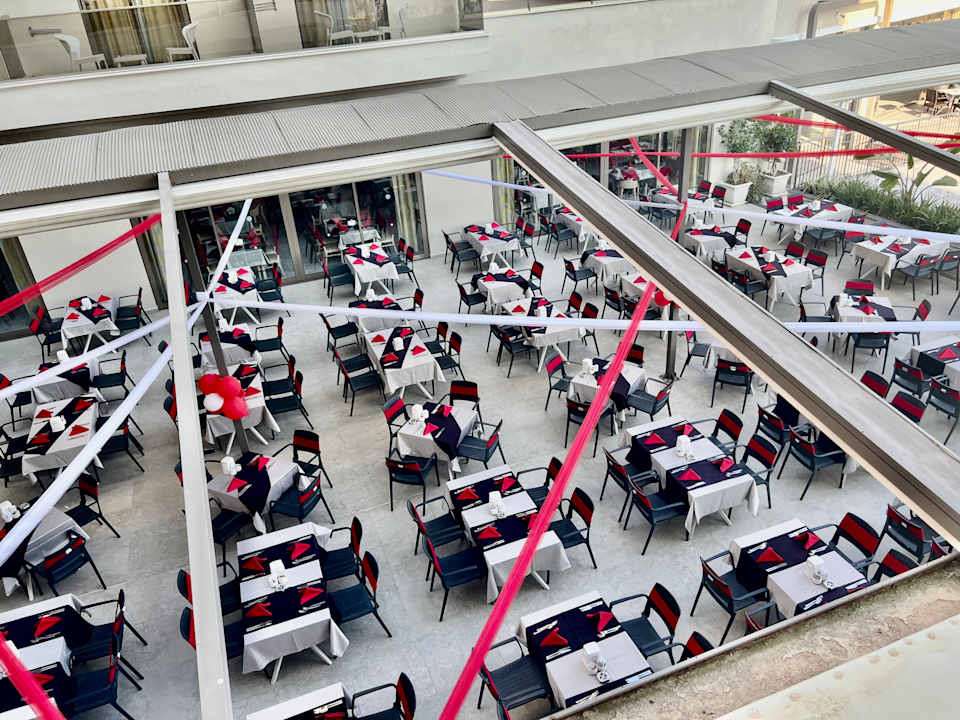 Gastro Seashell Vega