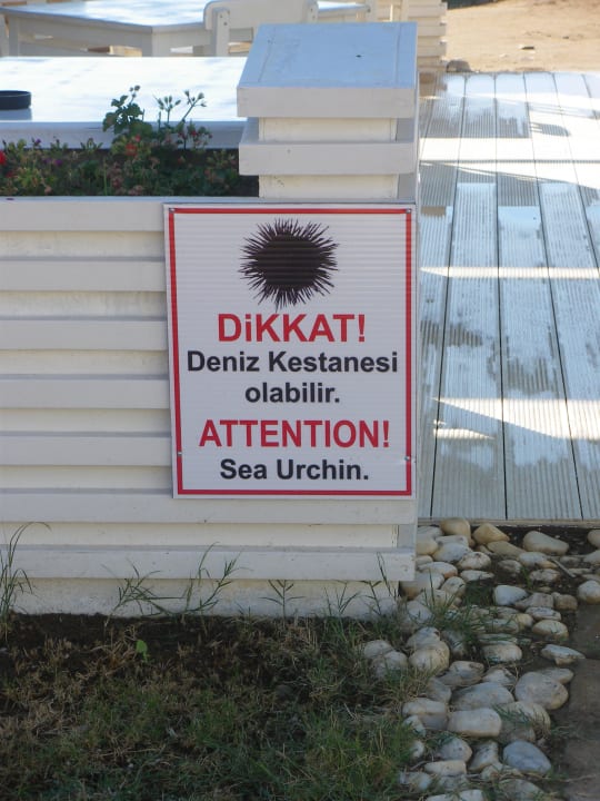 Seeigel-Achtung Karya Family Resort  All Inclusive