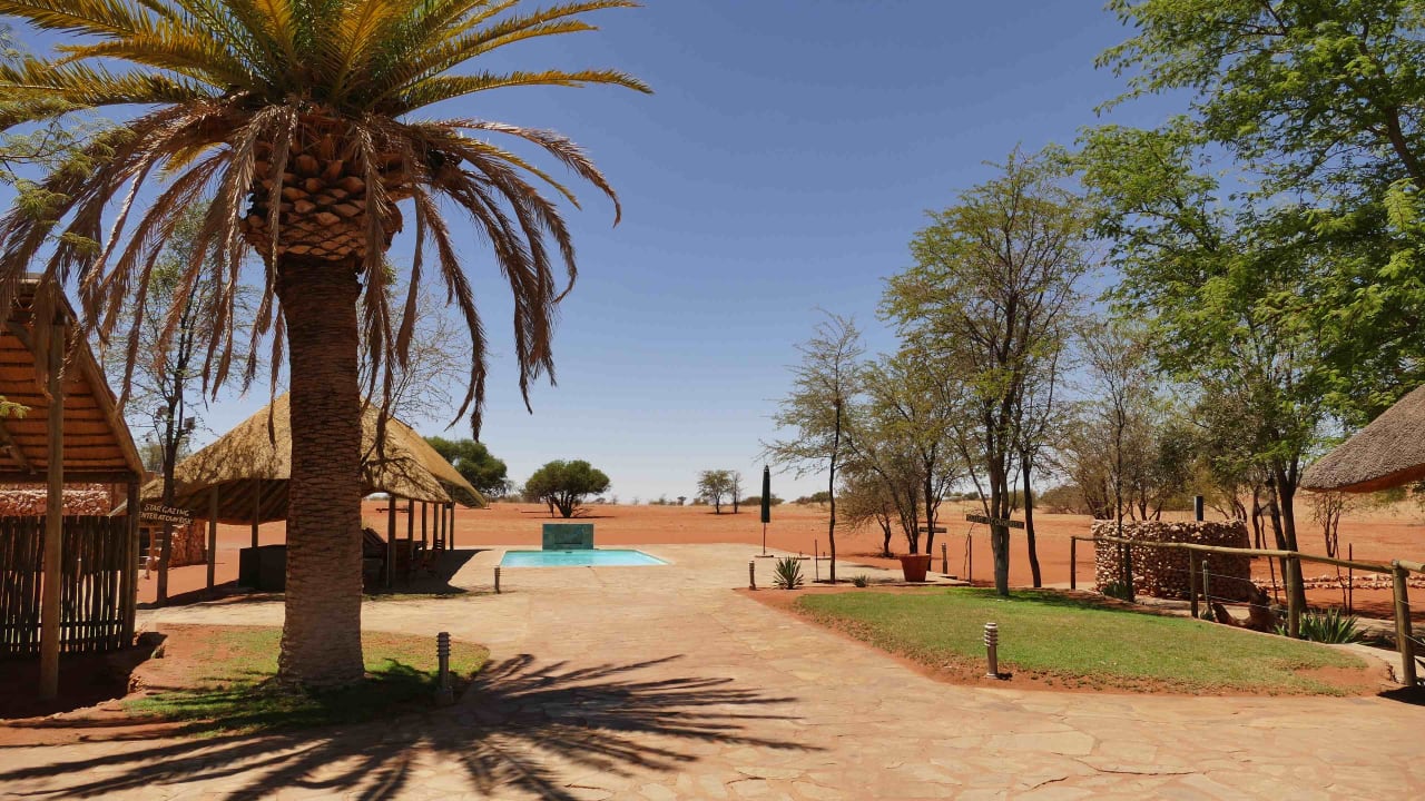 Pool Bagatelle Kalahari Game Ranch